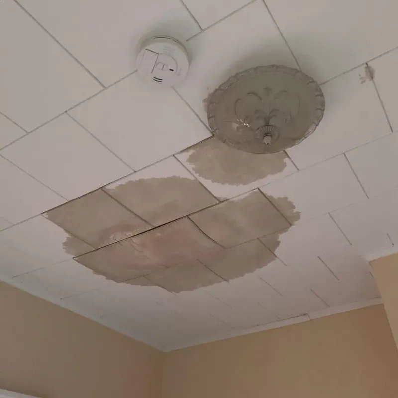 Ceiling Water Damage Repair in Erath County, TX