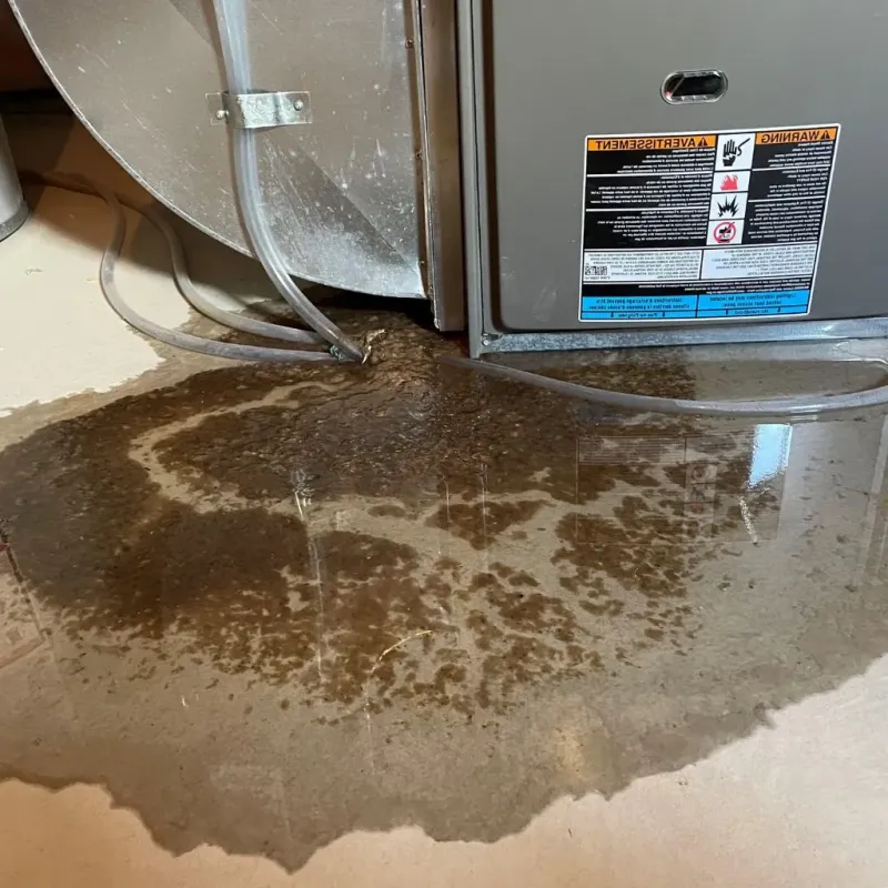 Pipe Burst and Leak Restoration in Erath County, TX