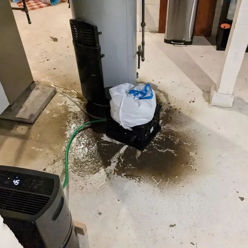 Sewage Backup Cleanup Service in Erath County, TX
